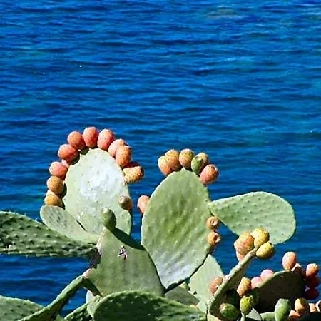 Hotel Pfa Ginevra - Isola D'elba Rio Marina